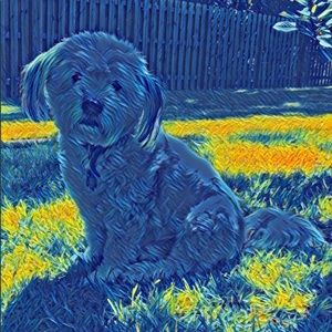 Meet your Posher, Kerry